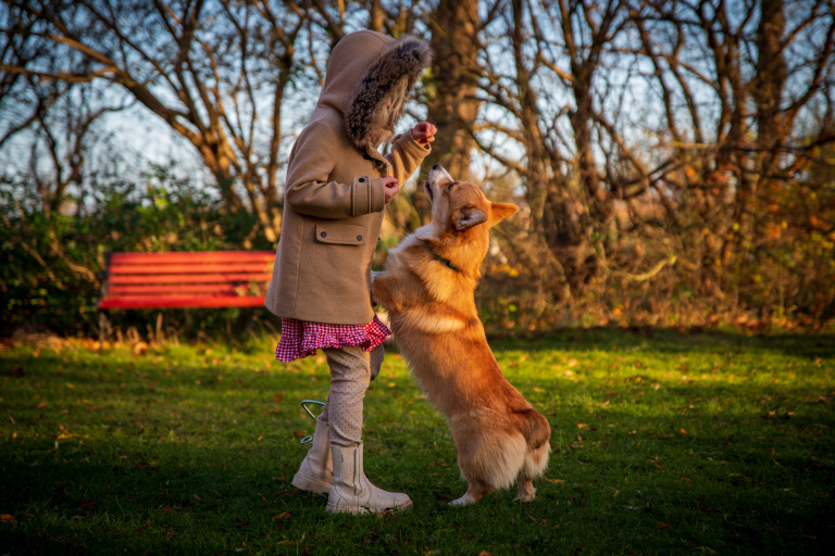 Barn och hund