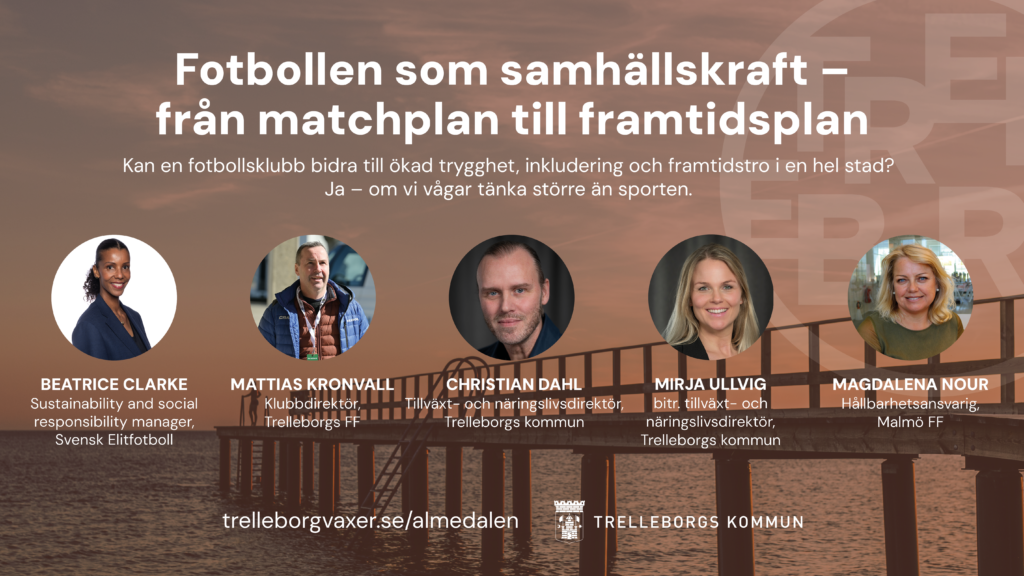 Artikel fotboll